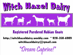 Witch Hazel Dairy